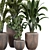 Tropical Plant Collection 3D Model 3D model small image 2