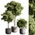 Potted Tree: Indoor Plant 549 3D model small image 1