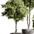 Potted Tree: Indoor Plant 549 3D model small image 3