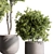 Potted Tree: Indoor Plant 549 3D model small image 4