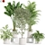 Eco Plant Collection: 607732 Polys 3D model small image 1