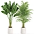 Eco Plant Collection: 607732 Polys 3D model small image 3