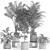 Eco Plant Collection: 607732 Polys 3D model small image 6