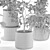 Eco Plant Collection: 607732 Polys 3D model small image 7