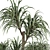 Tropical Palm Plant for Interior 3D model small image 3