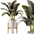 Mexican Design Banana Palm Set 3D model small image 3