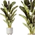 Mexican Design Banana Palm Set 3D model small image 5