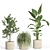 54-Piece Concrete Pot Indoor Plant Set 3D model small image 3