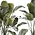 Exotic Tropical Plant Collection 3D model small image 2