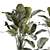 Exotic Tropical Plant Collection 3D model small image 4