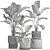 Exotic Tropical Plant Collection 3D model small image 6