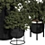 Title: Rusty Pot Olive Bonsai 3D model small image 5