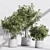 Modern Indoor Plant Set Kit 3D model small image 1