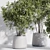 Modern Indoor Plant Set Kit 3D model small image 2