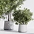 Modern Indoor Plant Set Kit 3D model small image 4