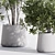 Modern Indoor Plant Set Kit 3D model small image 5