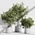 Modern Indoor Plant Set Kit 3D model small image 8