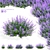 Nepeta Faassenii Flower Collection 3D model small image 8