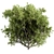 California Bay Bush Set 120 3D model small image 3