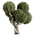 Cryptomeria Topiary Tree Set 200 3D model small image 1