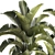 Tropical Plant Collection in Concrete Vase 3D model small image 4