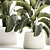 Tropical Plant Collection in Concrete Vase 3D model small image 5