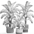 Tropical Plant Collection in Concrete Vase 3D model small image 7
