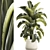 Tropical Plant Collection in Concrete Pot 3D model small image 1