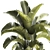 Tropical Plant Collection in Concrete Pot 3D model small image 4