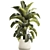 Tropical Plant Collection in Concrete Pot 3D model small image 6