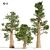 Giant Redwood Tree Collection 3D model small image 1