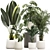 Tropical Plant Set in Concrete Vase and Pot 3D model small image 1