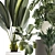 Tropical Plant Set in Concrete Vase and Pot 3D model small image 5