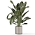 Rustic Concrete Pot Indoor Plants 3D model small image 3