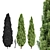 Variety of 3D Cypress Trees 3D model small image 3