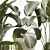 Tropical Plant Decor Set: Strelitzia, Calathea Lutea, Succulents 3D model small image 5