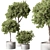 Tree in Pot: Indoor Beauty 3D model small image 1