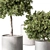 Tree in Pot: Indoor Beauty 3D model small image 2