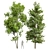 Dual Real Tree 3D Models 3D model small image 1