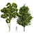  Dual 3D Tree Models 3D model small image 1