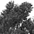  Dual 3D Tree Models 3D model small image 7