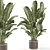 Natural Woven Basket Plant Set 3D model small image 2