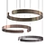 Elegant Circun Chandelier Fixture 3D model small image 4