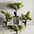 Indoor Plant Bonsai Set 114 3D model small image 3