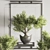 Indoor Plant Bonsai Set 114 3D model small image 6