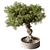 Zen Bonsai Plant 548 3D model small image 1