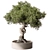 Zen Bonsai Plant 548 3D model small image 2