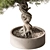 Zen Bonsai Plant 548 3D model small image 4