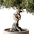 Zen Bonsai Plant 548 3D model small image 5