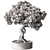 Zen Bonsai Plant 548 3D model small image 6